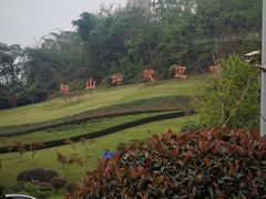 -铁山坪森林公园