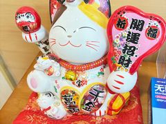-猫十亿·布偶金渐层·曼基康矮脚猫舍(青年路店)