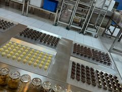 -歌斐颂巧克力小镇