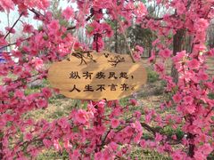-北京凤凰岭