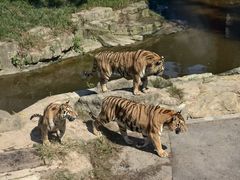 -大连森林动物园