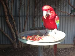 -费瑟代尔野生动物园