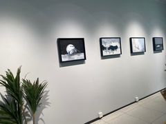 -Cetus coffee鲸鱼座咖啡·拼豆(二仙桥公园店)