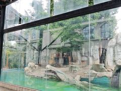-灵玲国际马戏城
