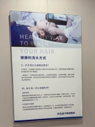 -碧莲盛不剃发植发