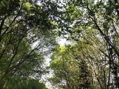 -南京金牛湖风景区