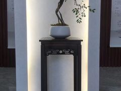 -医济堂·中医养生·经络理疗(凤凰西街店)