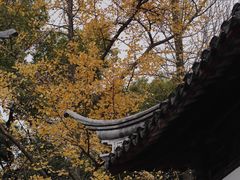 -西园戒幢律寺