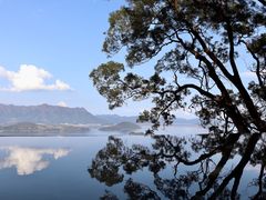 -大埔公路-马料水段香港中文大学(公交站)