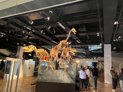 -墨尔本博物馆(Melbourne Museum)
