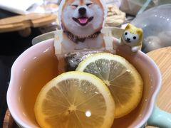 -逗柴咖啡屋·狗咖猫咖宠物桌游