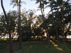 -阿甘虾餐厅(Maui)