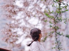 -红星桥(地铁站)