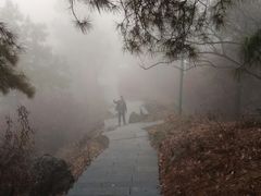 -敬亭山风景名胜区