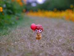 -花开海上生态园