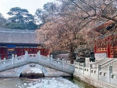 -香山公园