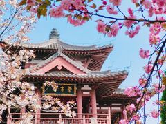 -西安青龙寺遗址景区