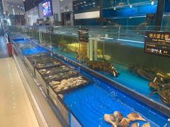 水产区-神洲四海大酒楼(王府井澳门中心店)