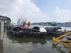 -鱼珠码头(轮渡站)