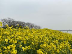 -阳澄湖半岛旅游度假区