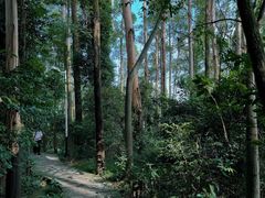 -水濂山森林公园