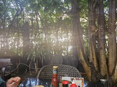 -Fern Forest Cafe
