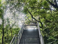 -佛山华盖山公园