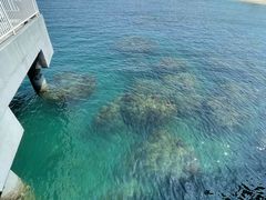 -三亚西岛海洋文化旅游区