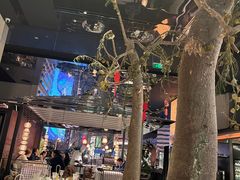 -桂满陇·海市蜃楼·黑金(国金店)