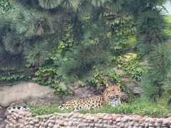 -西霞口神雕山野生动物世界