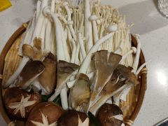 菌菇拼盘-有拈头成都市井火锅(老门东店)