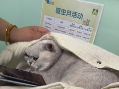 -半岛宠物医院24小时(科华中路店)