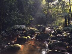 -赤水丹霞旅游区·佛光岩
