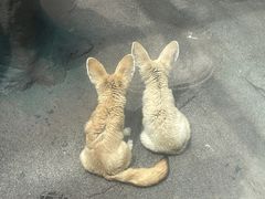 -宁波野生动物园
