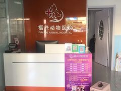 -瑞派福兴宠物医院犬猫全科·骨科·中西医结合(河东店)