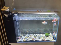 -小怪兽健身(宗关店)