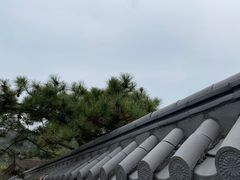 -东方艺术博物馆