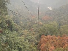 -青城山