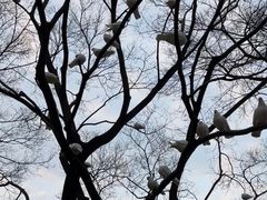 -人民广场