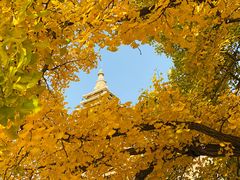 -北京石刻艺术博物馆(五塔寺)