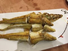 -御唐府海珊瑚主题餐厅