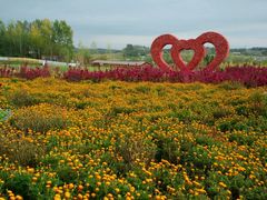 -北纬44度·金珠花海休闲农业旅游景区