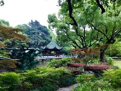 -申粤轩酒楼·三十年粤菜经典(丁香花园店)