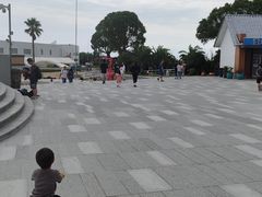 -碧海金沙