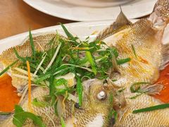 清蒸太阳鱼-大唐靓汤江门私房菜(景田店)