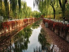 -清华大学-观畴园餐厅