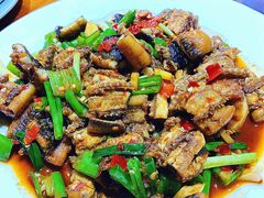 黄鳝-三千西子