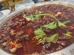 -老表牌·蛙蛙鸡冷锅鱼(成都东站店)