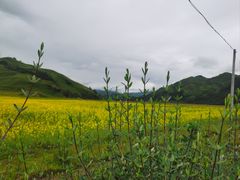 -墨石公园景区