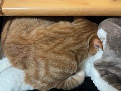 -季市阳光美食(阳光国际店)